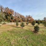 Terrain à bâtir de 1205 m² à Grignan - Rare en campagne