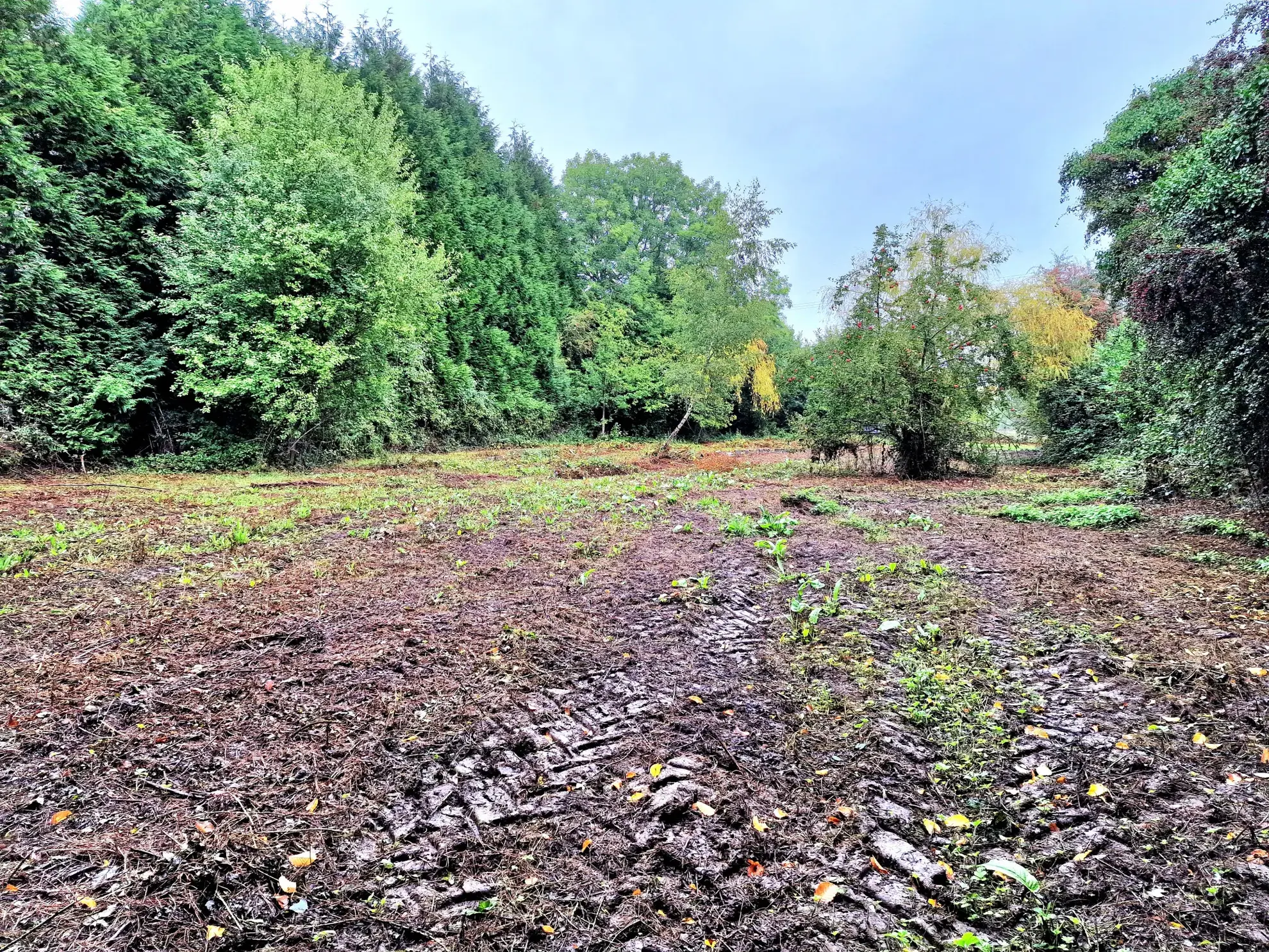 Terrain constructible de 1845 m² à Familly, proche de Livarot 