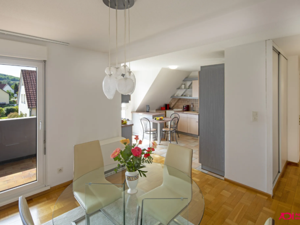 À vendre : Duplex lumineux de 5 pièces à Bischoffsheim