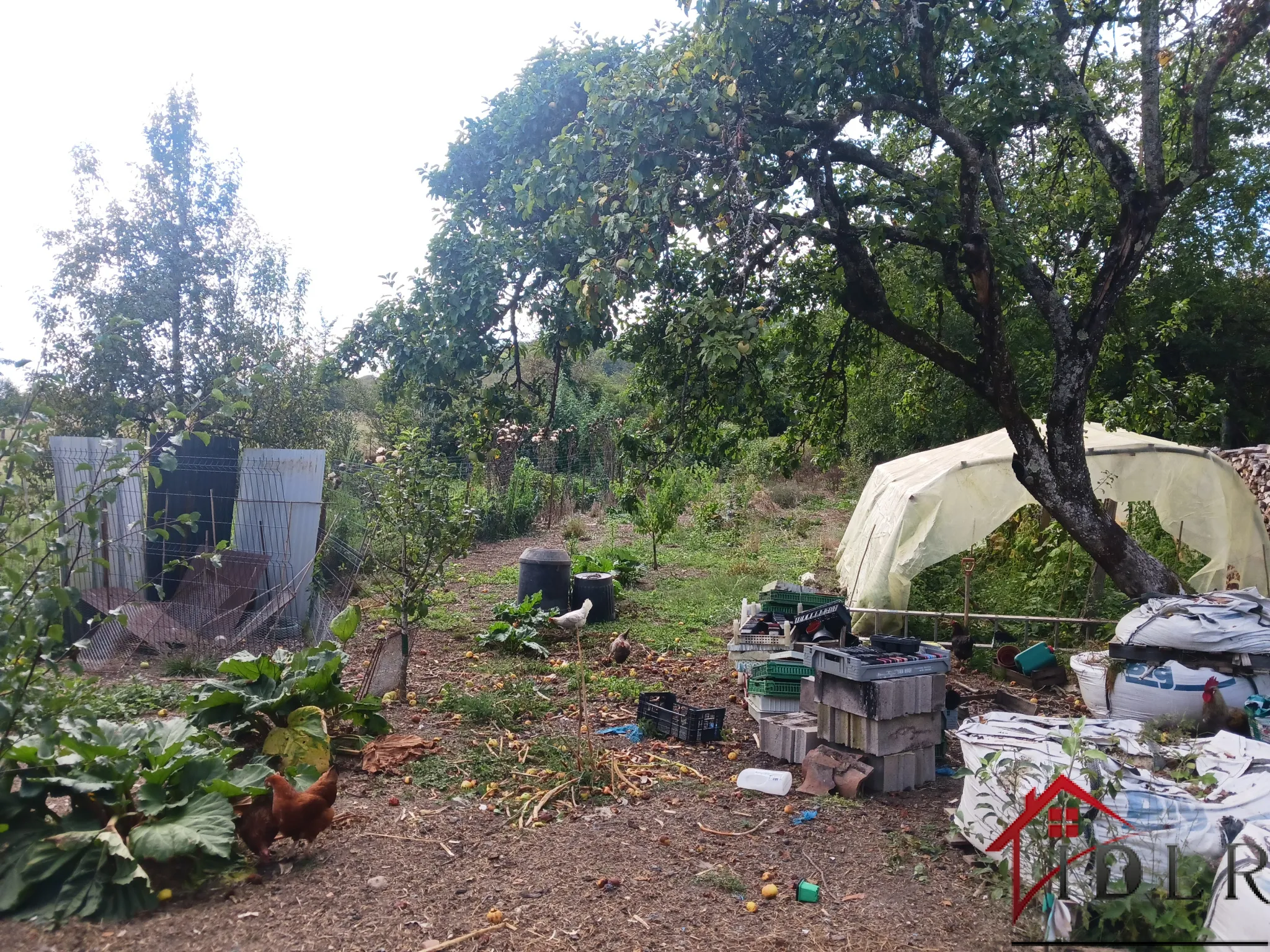 Lot de 2 maisons à rénover à Vernois-sur-Mance 