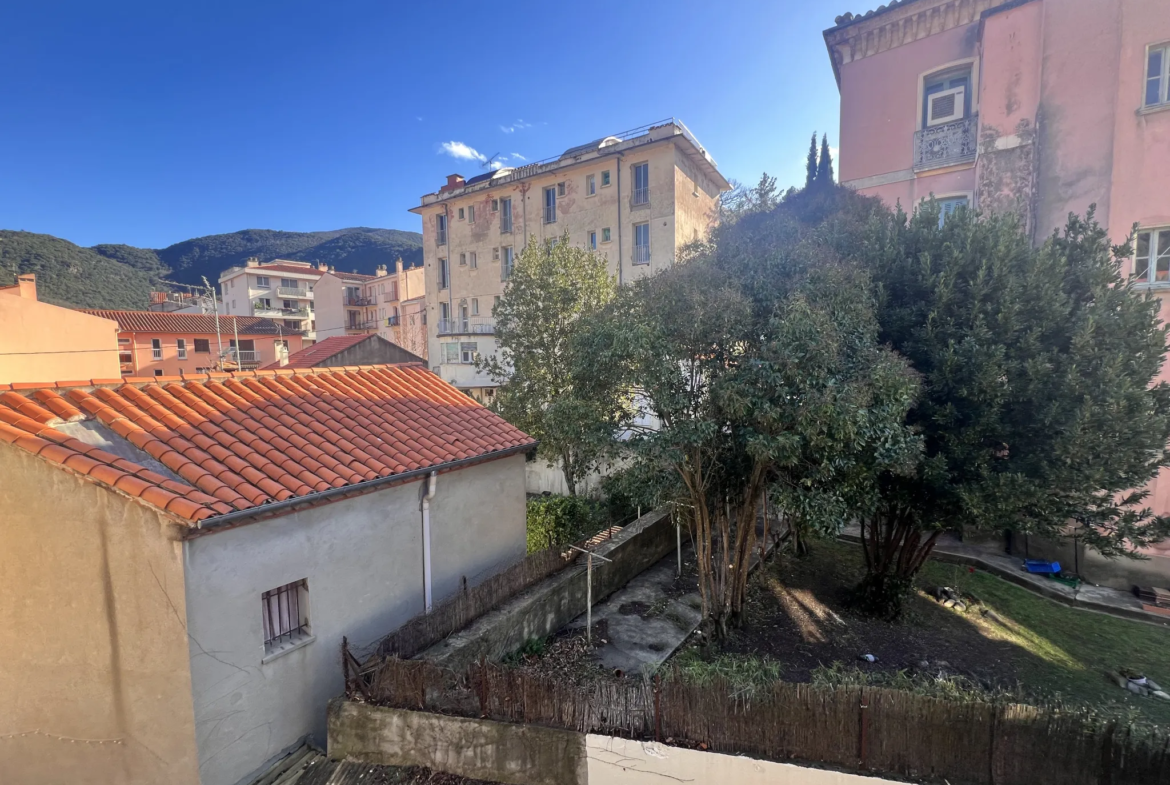 F1 lumineux et calme au centre d'Amélie les Bains 