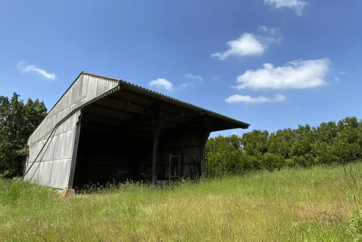 Ancienne Ferme à Croisilles à Vendre - 3 Chambres et Grand Terrain 