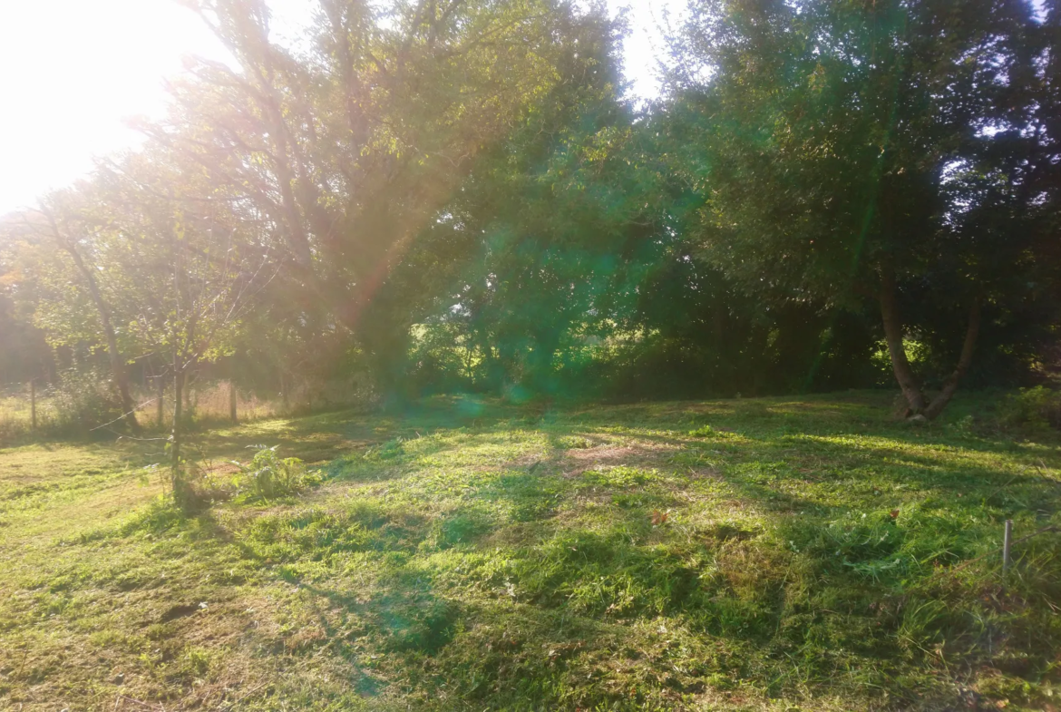 Longère Rénovée avec Annexe et Atelier à Murlin 