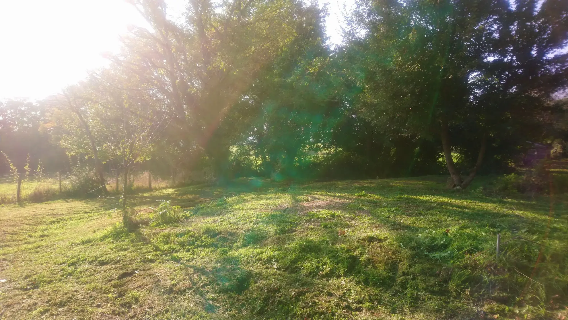 Longère Rénovée avec Annexe et Atelier à Murlin 