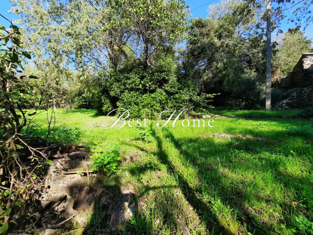 Appartement spacieux avec terrasse et jardin à Nîmes à vendre