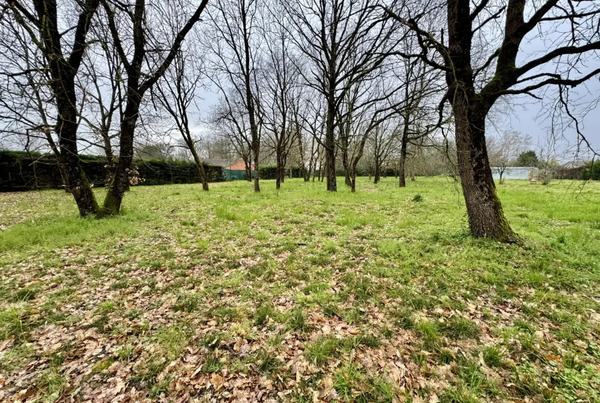 Charmante maison avec terrain constructible à La Ville Dieu Du Temple 