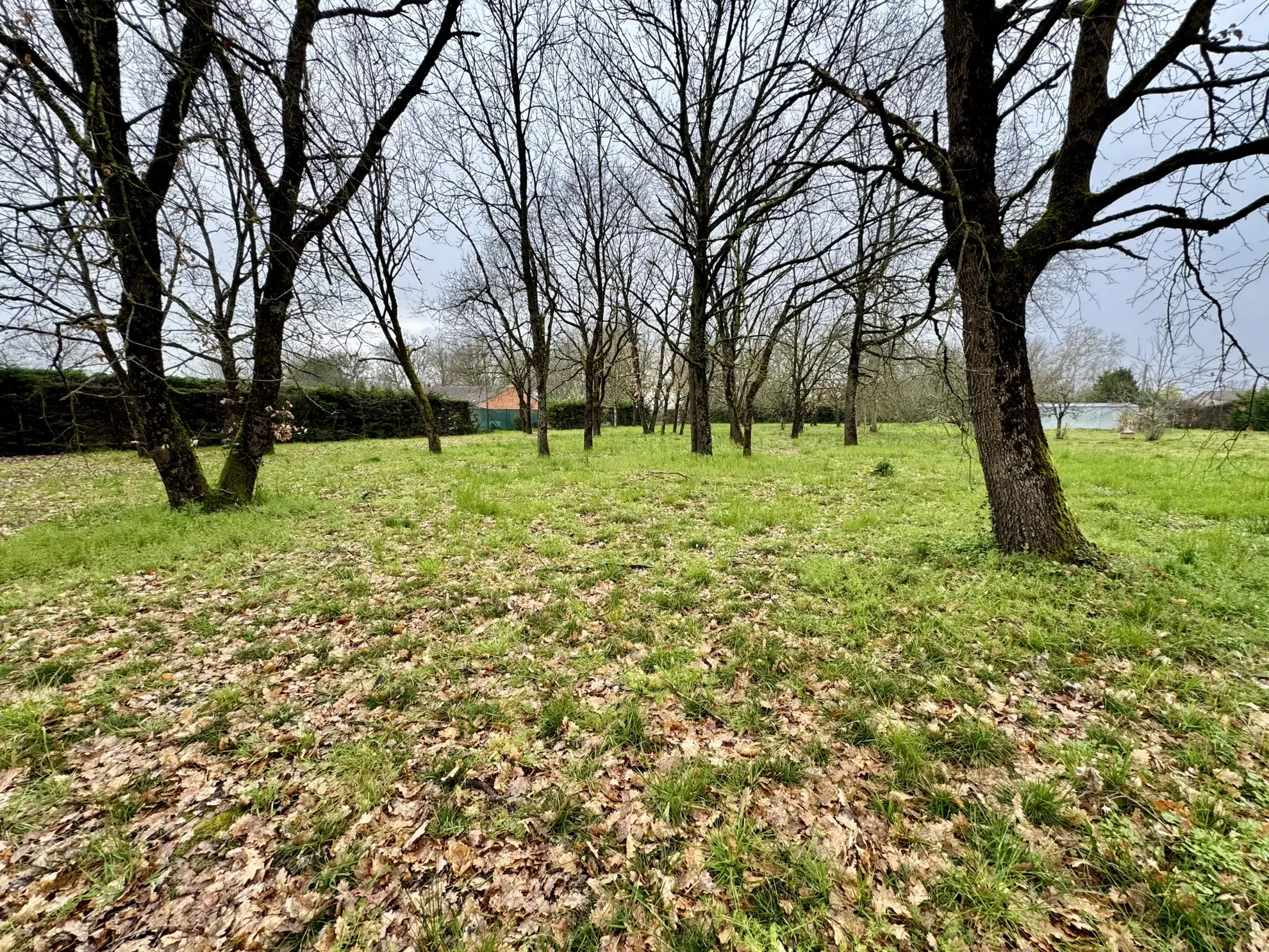 Charmante maison avec terrain constructible à La Ville Dieu Du Temple 