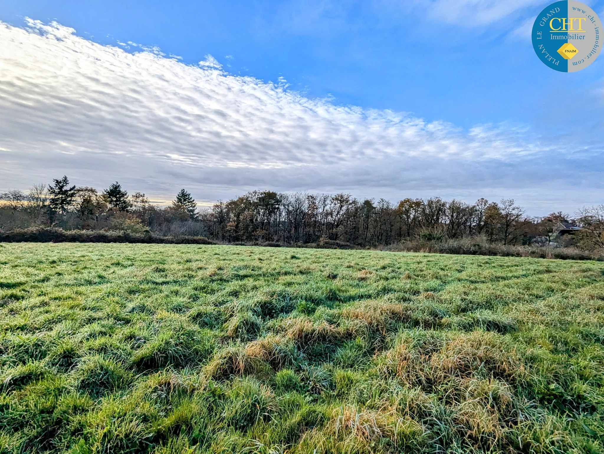 Terrain à bâtir hors lotissement à Monteneuf 