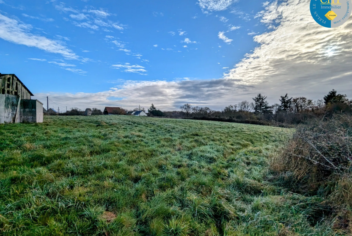 Terrain à bâtir hors lotissement à Monteneuf 