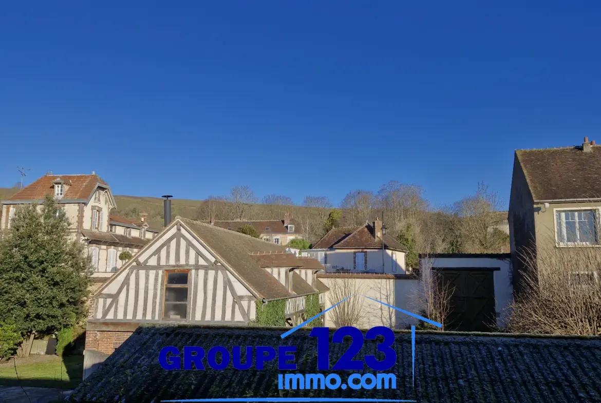 Appartement de charme à Joigny, 52,94 m² avec vue sur l'Yonne 