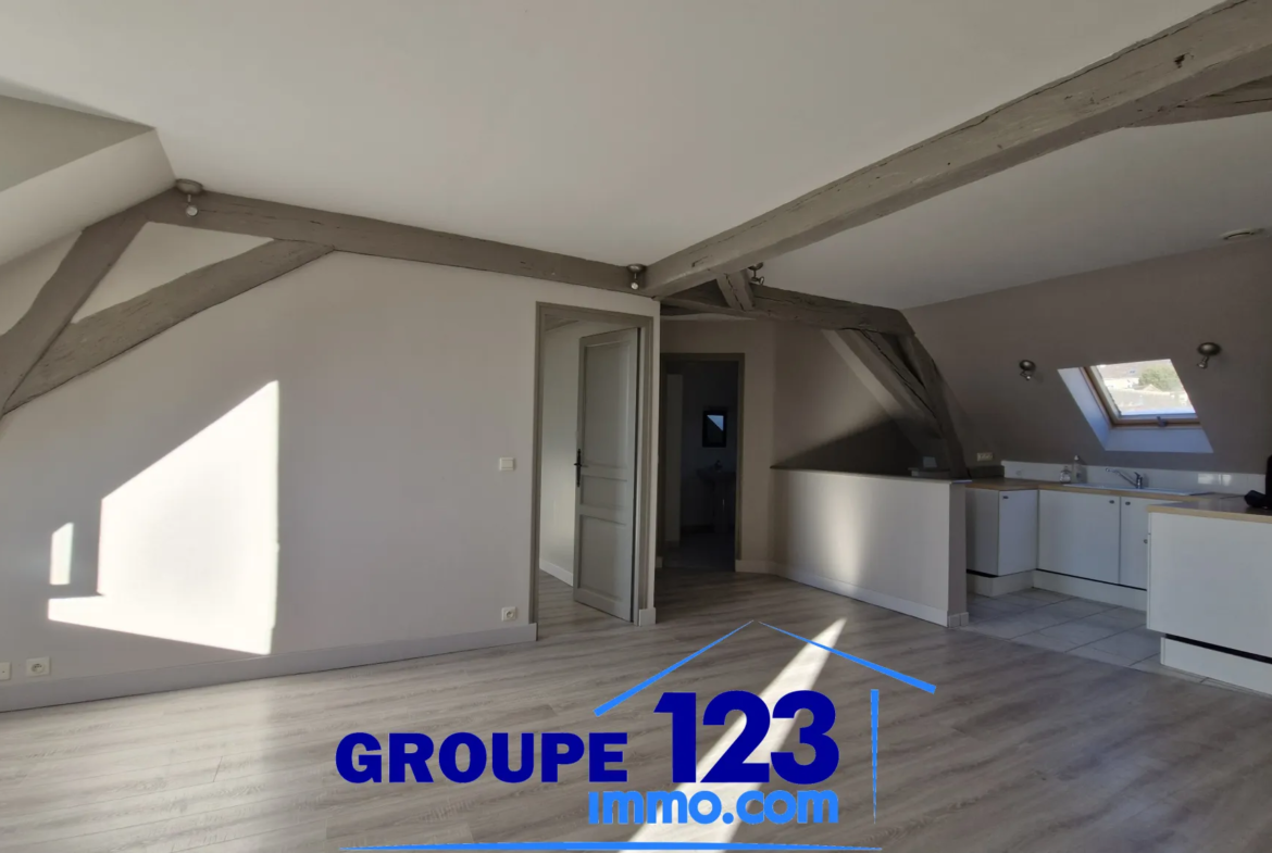 Appartement de charme à Joigny, 52,94 m² avec vue sur l'Yonne 