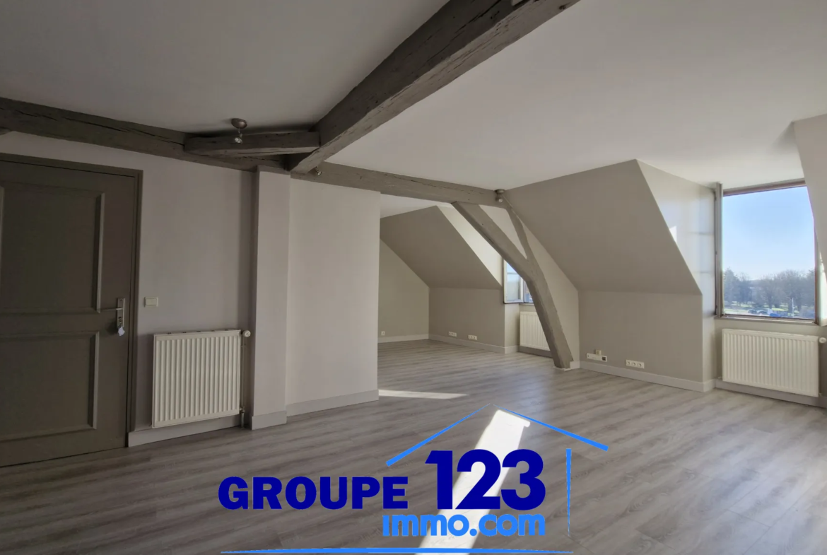 Appartement de charme à Joigny, 52,94 m² avec vue sur l'Yonne 