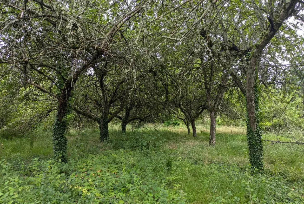 Terrain à bâtir à Challuy - 1938 m2 