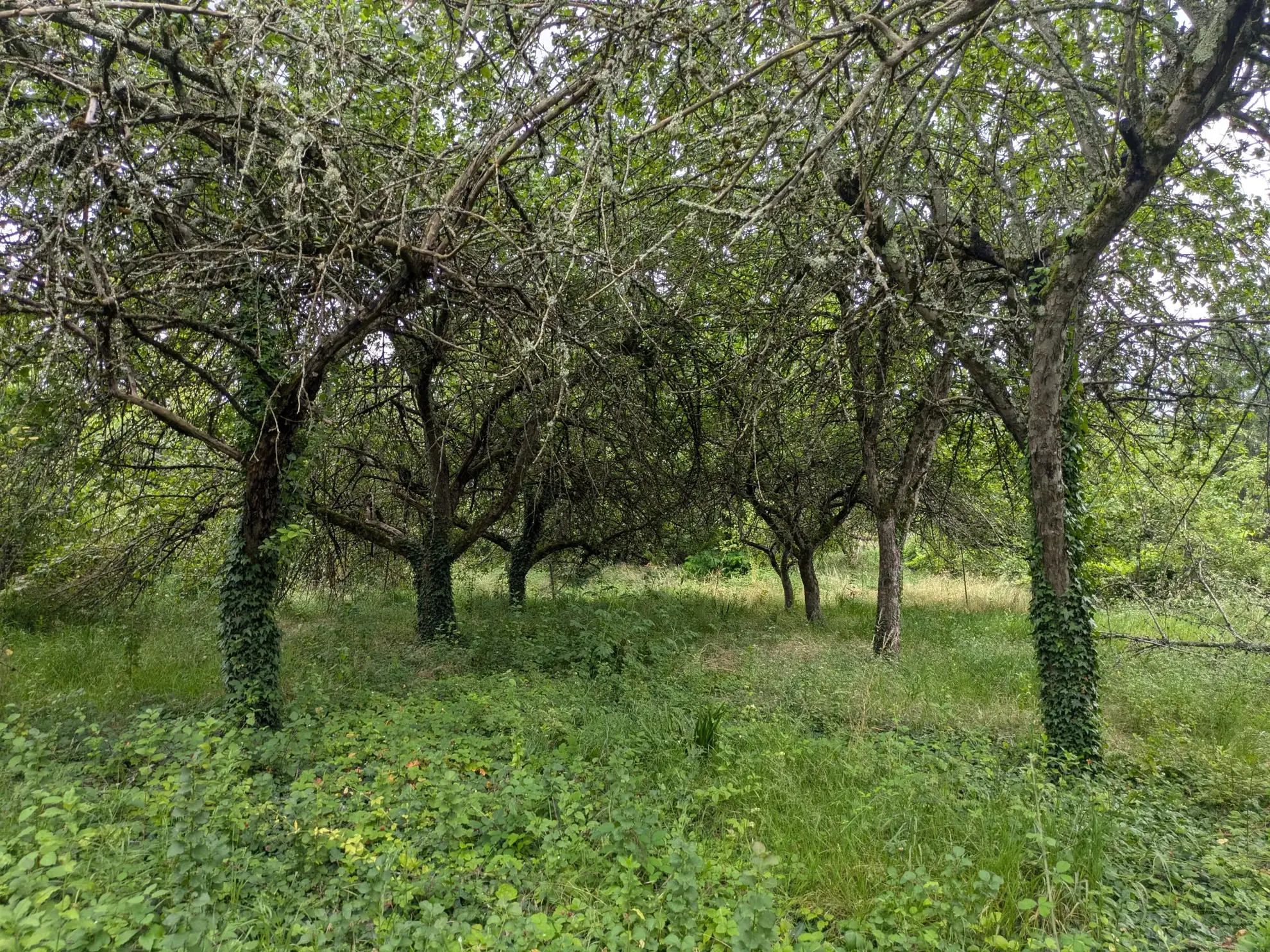 Superbe Terrain à bâtir à Challuy de 1938 m² 