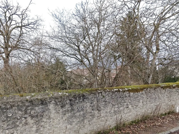 Terrain à bâtir à Challuy - 1938 m2