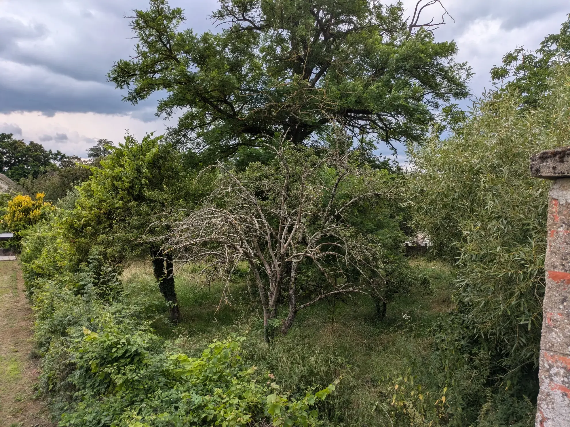 Terrain à bâtir à Challuy - 1938 m2 