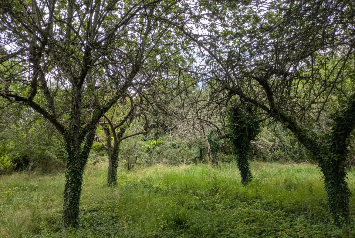 Terrain à bâtir à Challuy - 1938 m2 