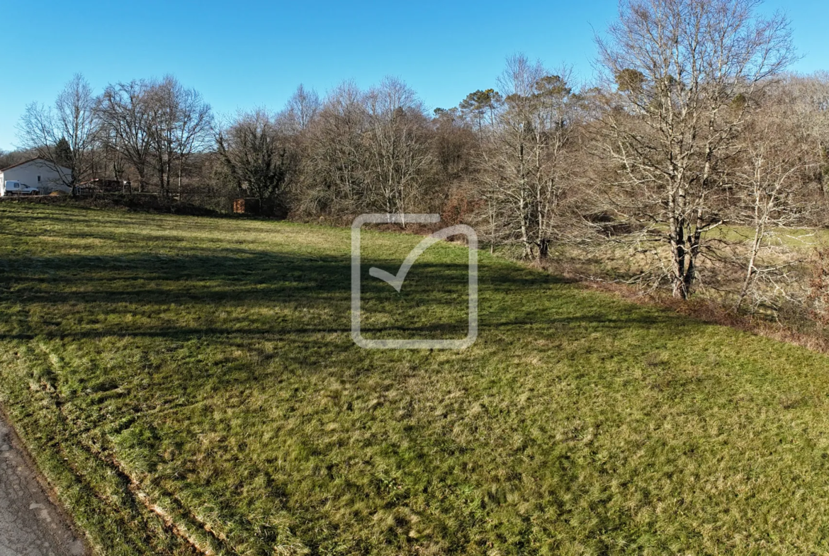 A vendre : terrain à bâtir de 3225 m² à Nabirat, 1500 m² constructibles 