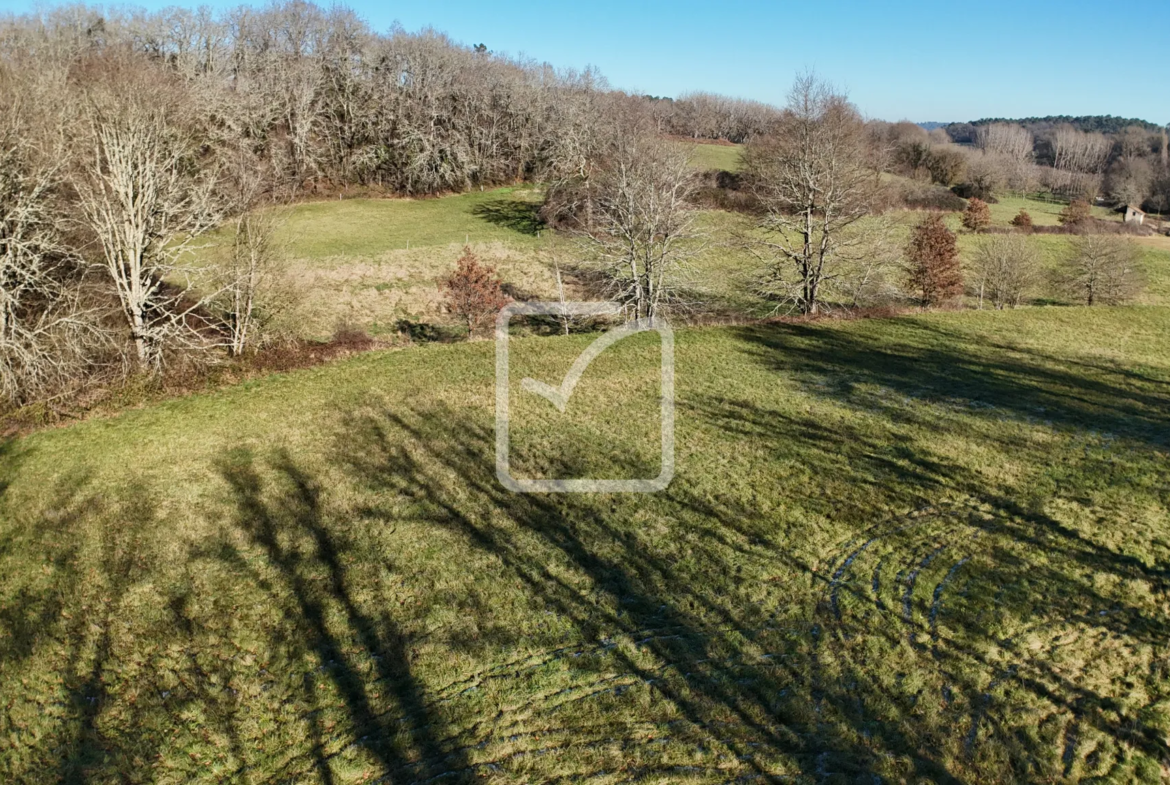 A vendre : terrain à bâtir de 3225 m² à Nabirat, 1500 m² constructibles 