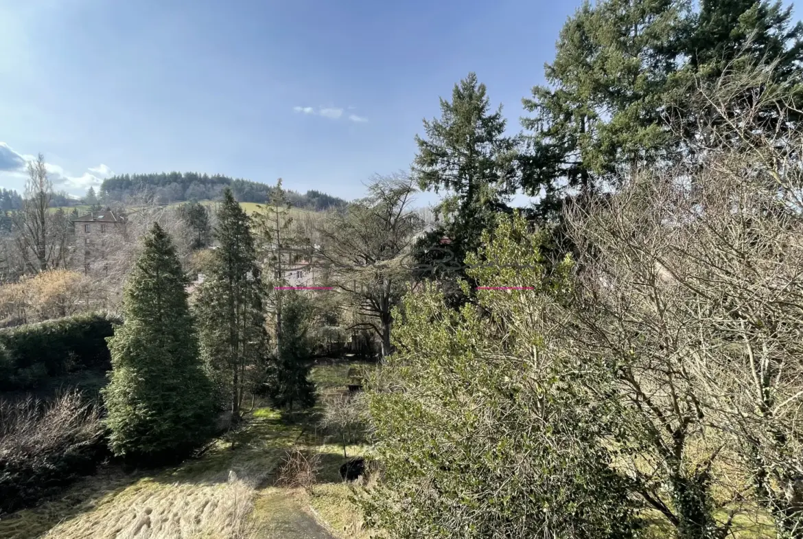 Maison à rénover en centre d'Amplepuis - Grand terrain, proche gare ! 