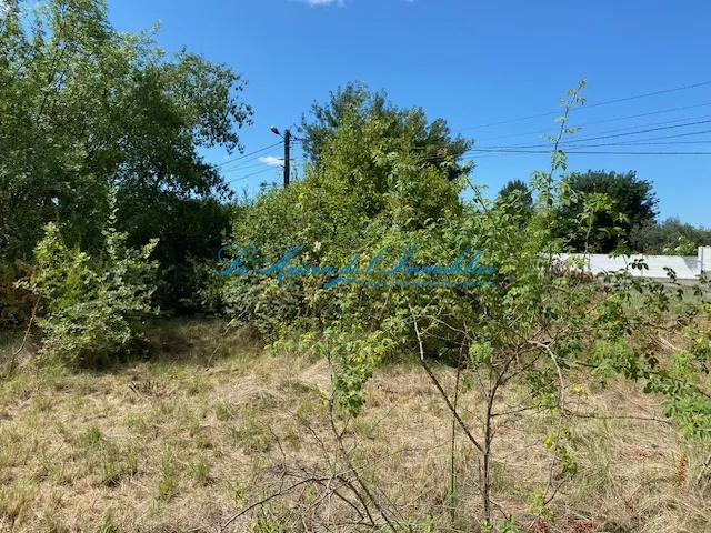 Vente de terrain constructible de 1200 m2 entre Quissac et Montpellier 