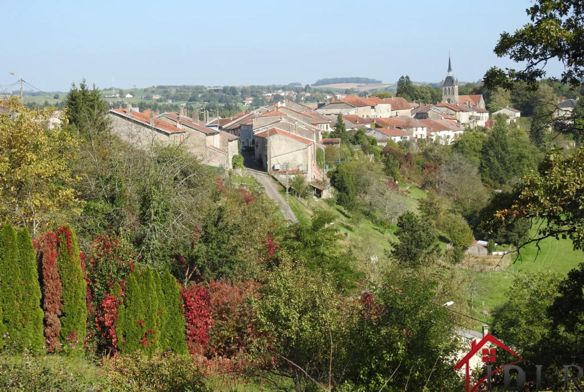 Charmante maison ancienne avec vues magnifiques à Chatillon sur Saône 