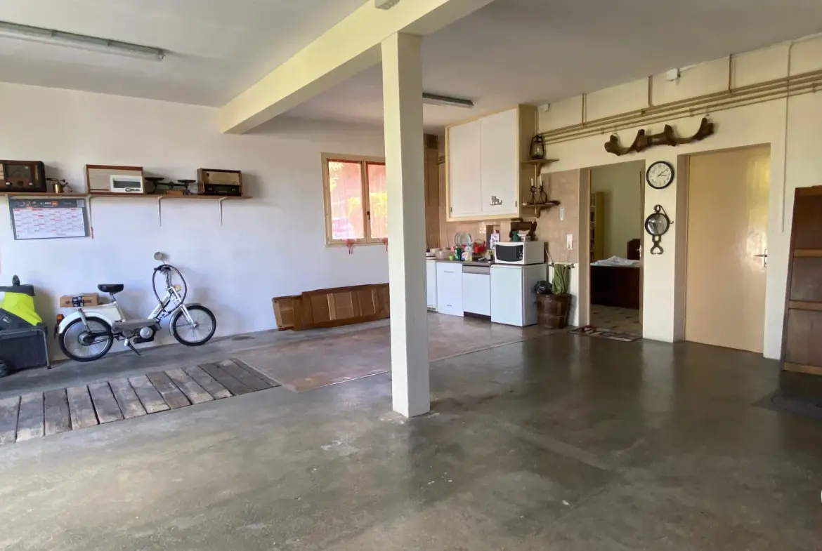 Maison spacieuse avec 2 logements et double garage à Fumel 