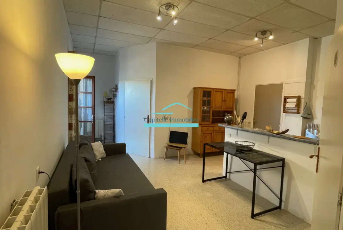 Appartement 2 pièces à vendre à Vic la Gardiole, investisseur bienvenu 