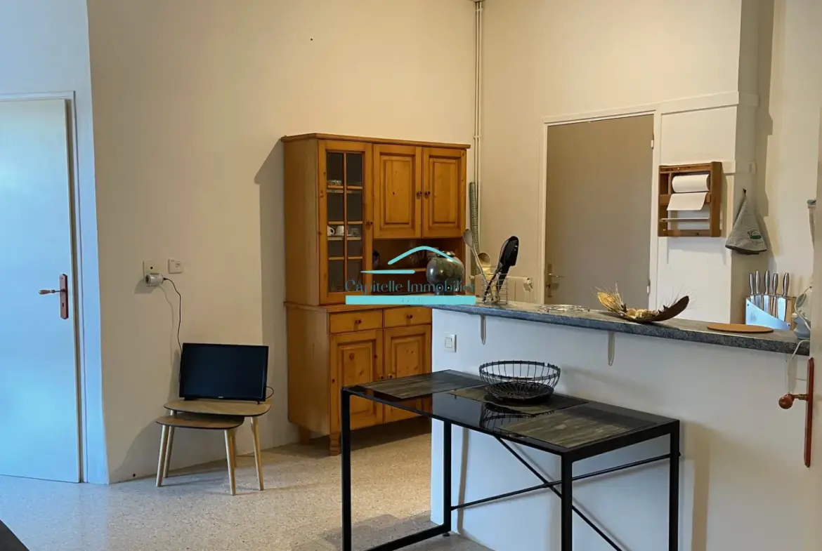 Appartement 2 pièces à vendre à Vic la Gardiole, investisseur bienvenu 