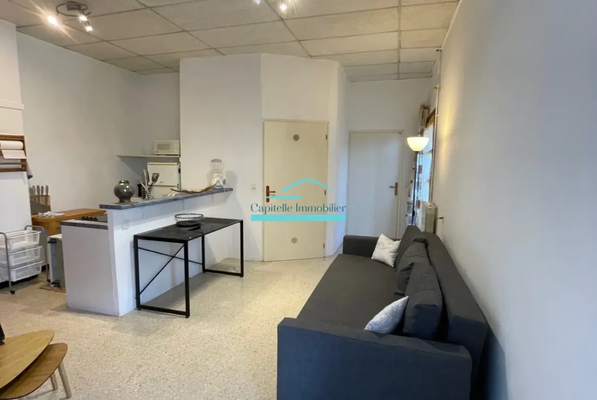 Appartement 2 pièces à vendre à Vic la Gardiole, investisseur bienvenu 