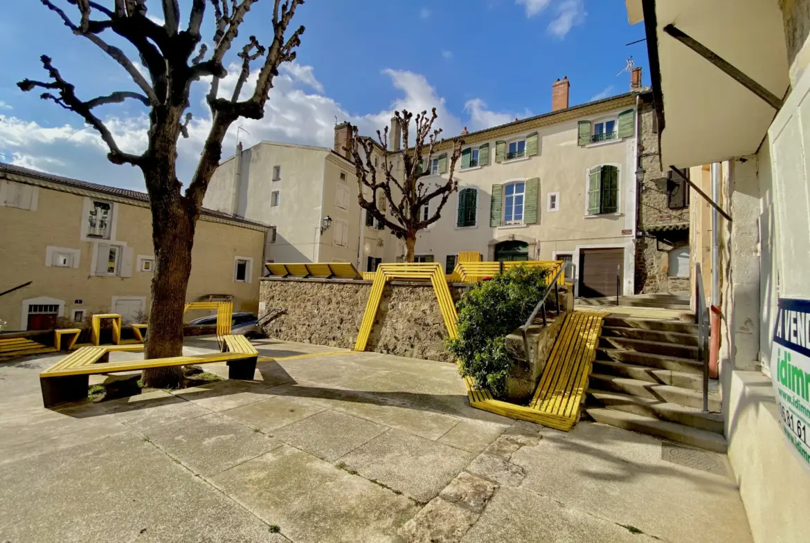 Appartement à rénover en rez-de-chaussée lumineux avec cave à Annonay 