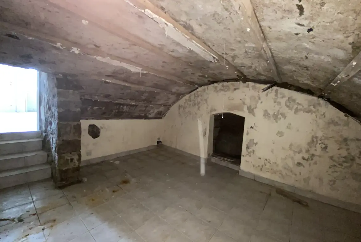 Appartement à rénover en rez-de-chaussée lumineux avec cave à Annonay 