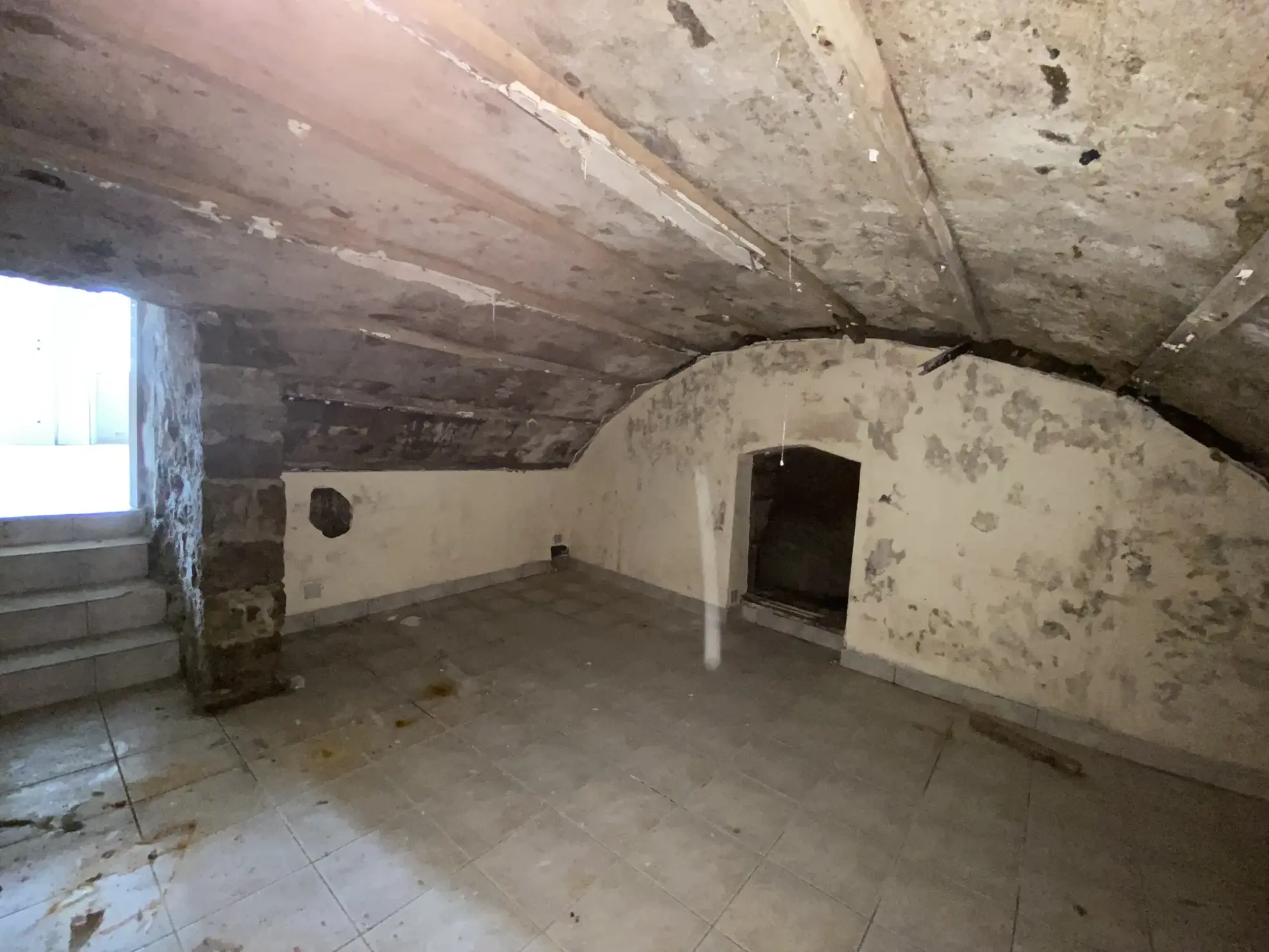 Appartement à rénover en rez-de-chaussée lumineux avec cave à Annonay 