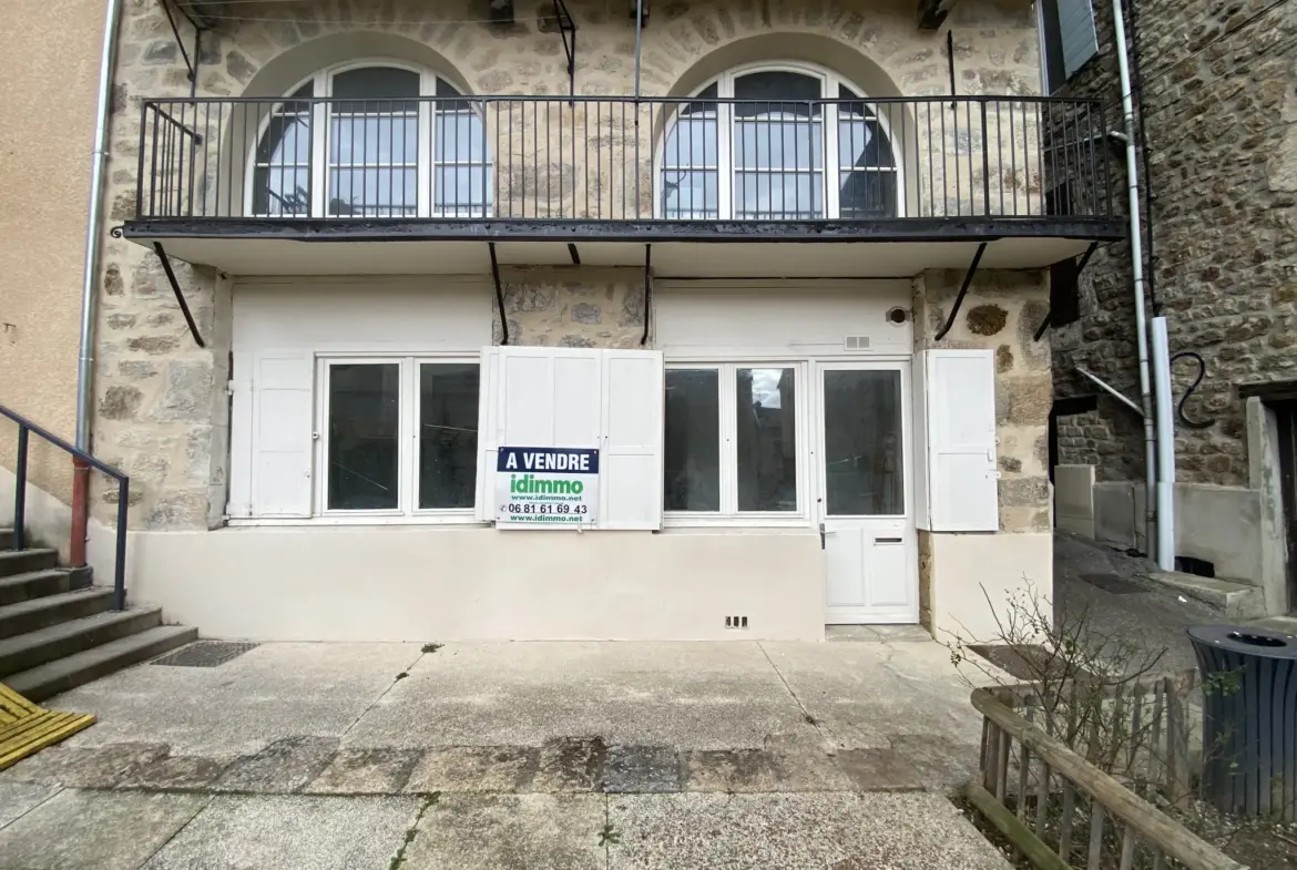 Appartement à rénover en rez-de-chaussée lumineux avec cave à Annonay 