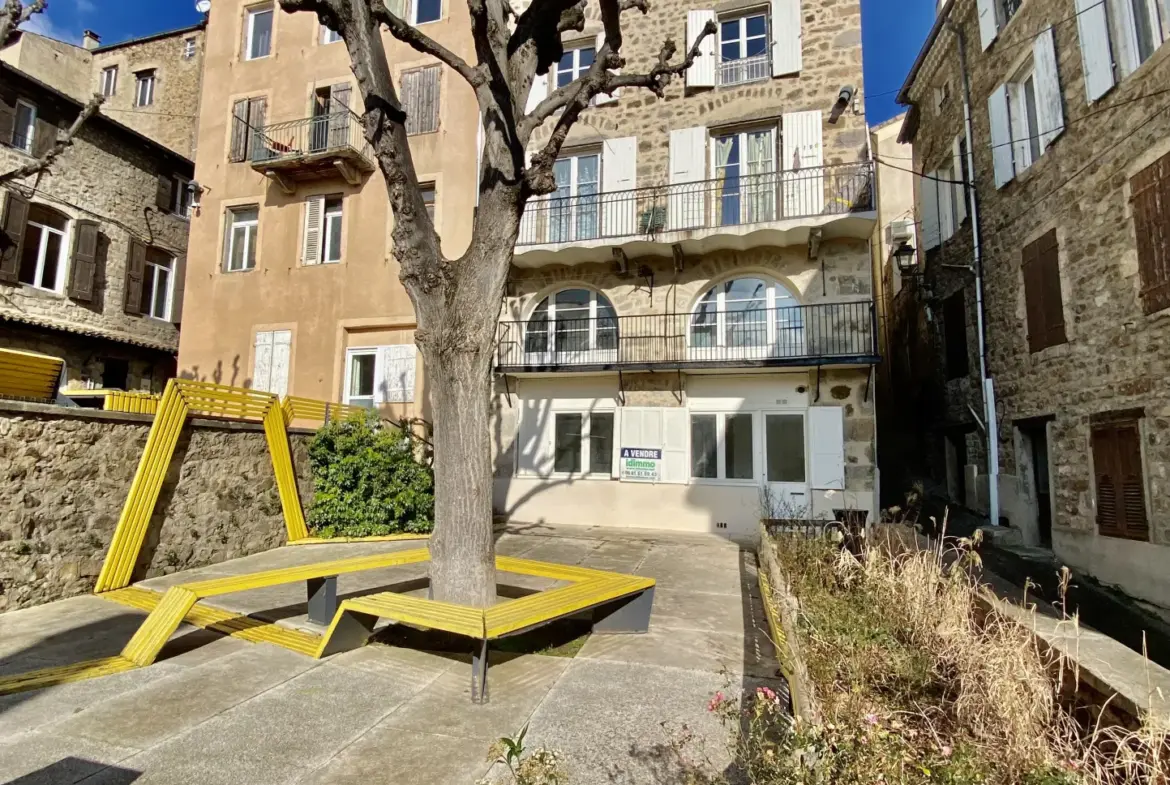 Appartement à rénover en rez-de-chaussée lumineux avec cave à Annonay 