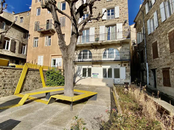 Appartement à rénover en rez-de-chaussée lumineux avec cave à Annonay