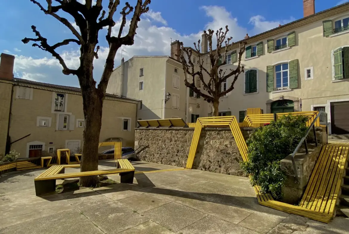 Appartement à rénover en rez-de-chaussée lumineux avec cave à Annonay 