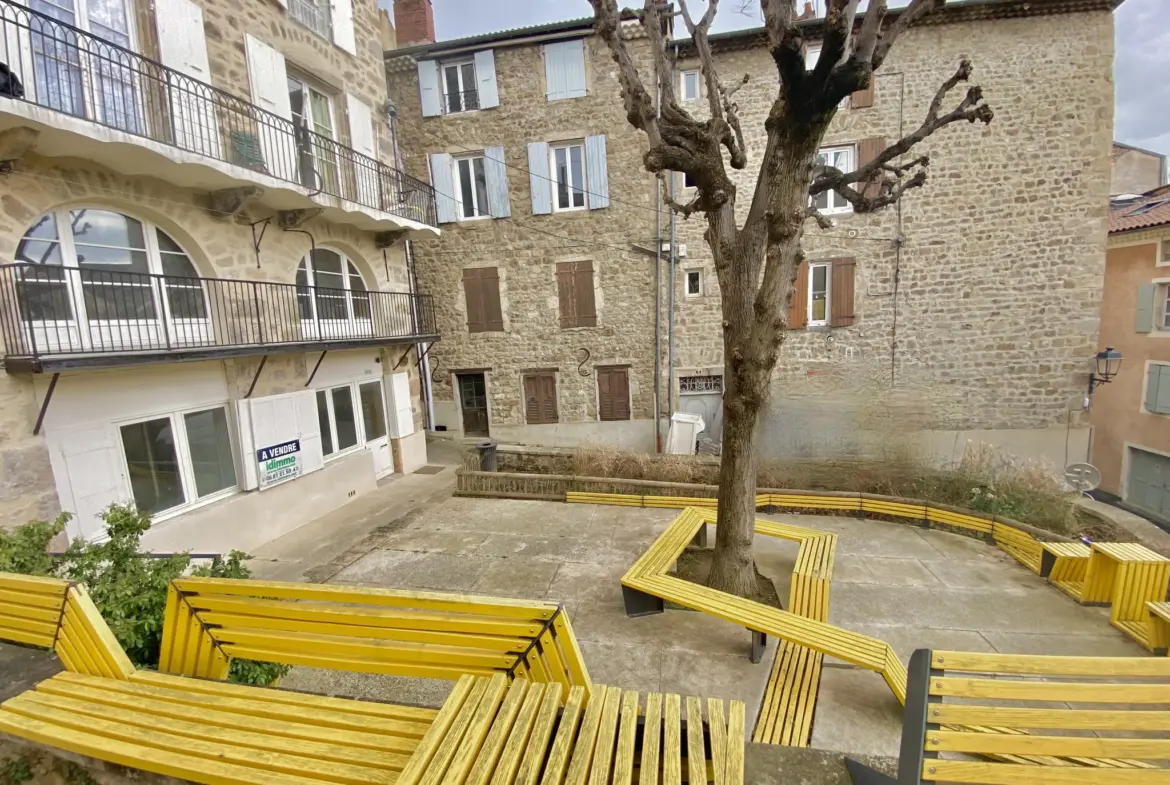 Appartement à rénover en rez-de-chaussée lumineux avec cave à Annonay 