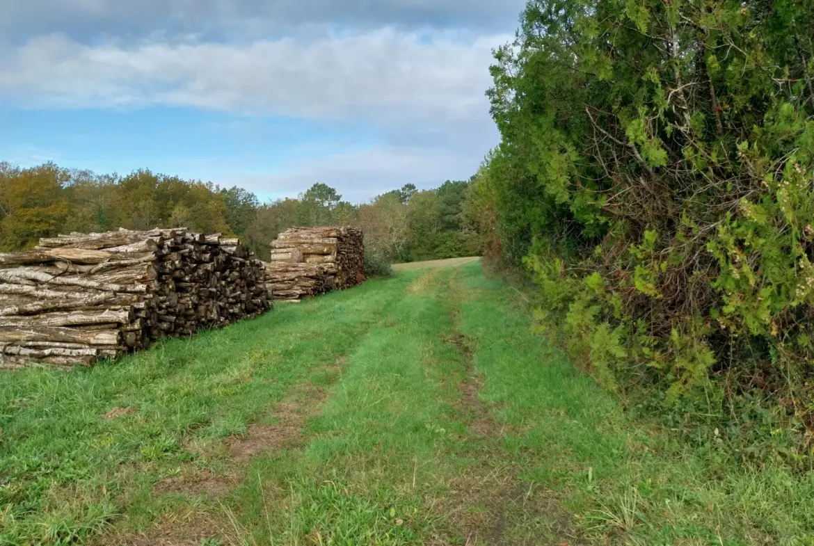 Vente d'un ensemble immobilier au calme sur 13 hectares 