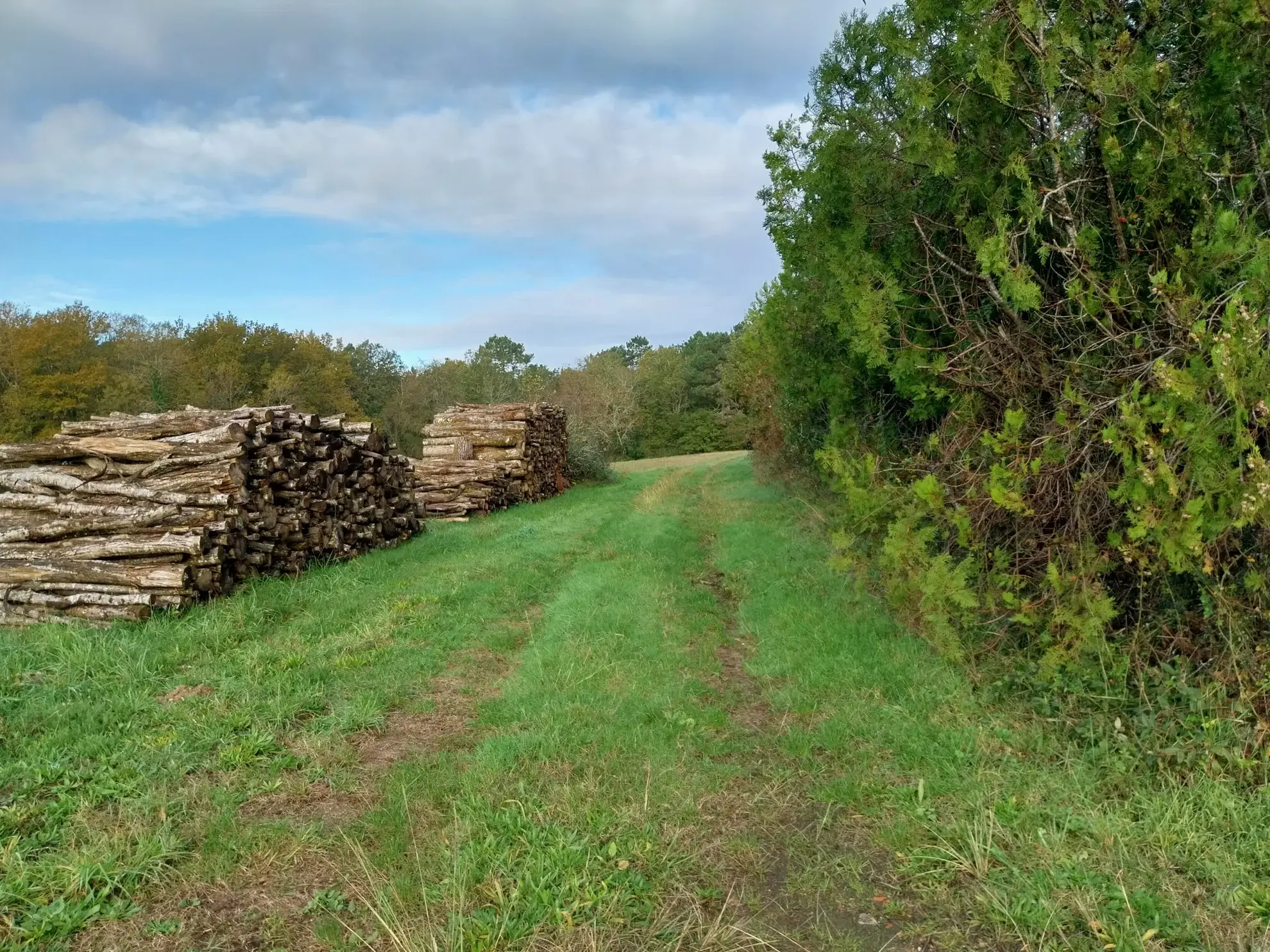 Vente d'un ensemble immobilier au calme sur 13 hectares 