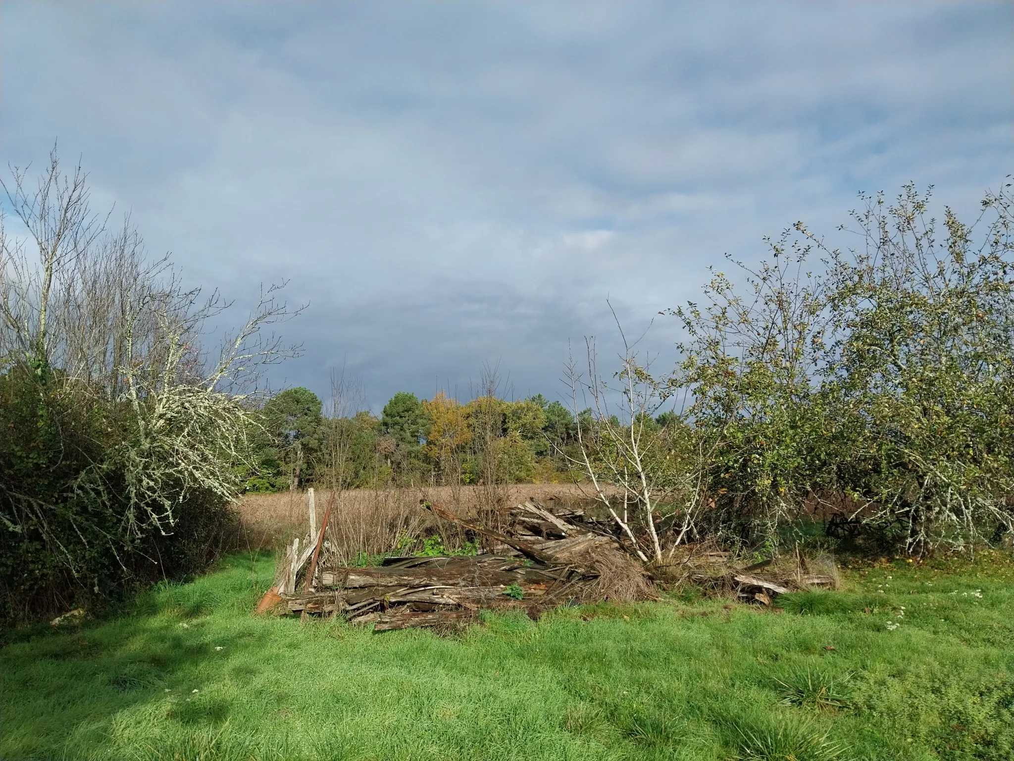 Vente d'un ensemble immobilier au calme sur 13 hectares 