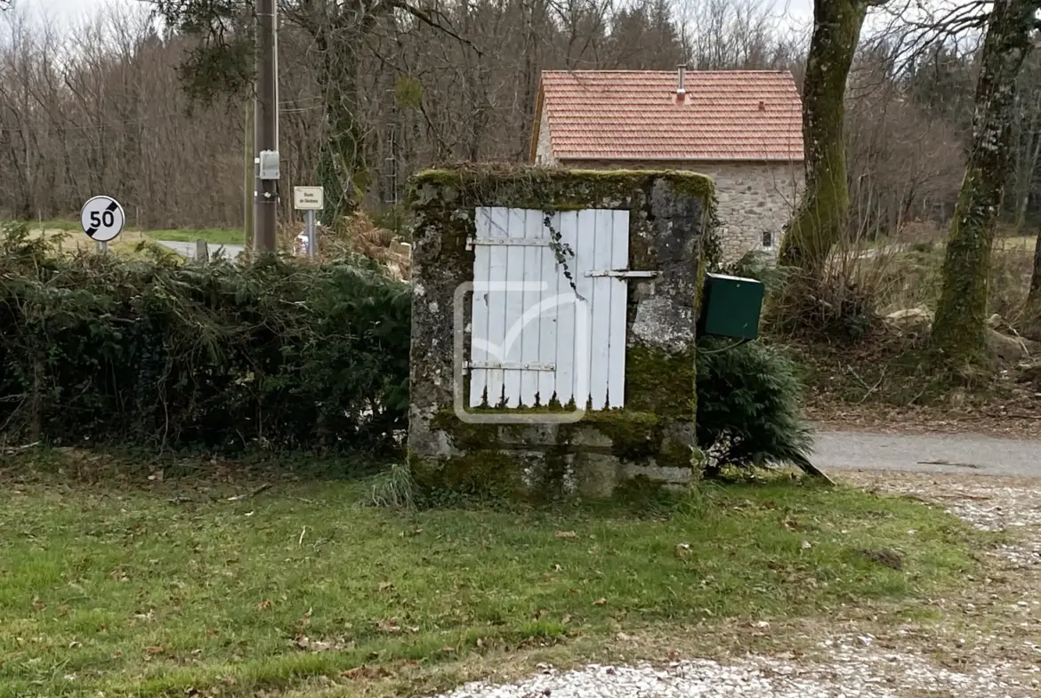 À vendre : bel ensemble en pierre dans un écrin de verdure à Sousceyrac 