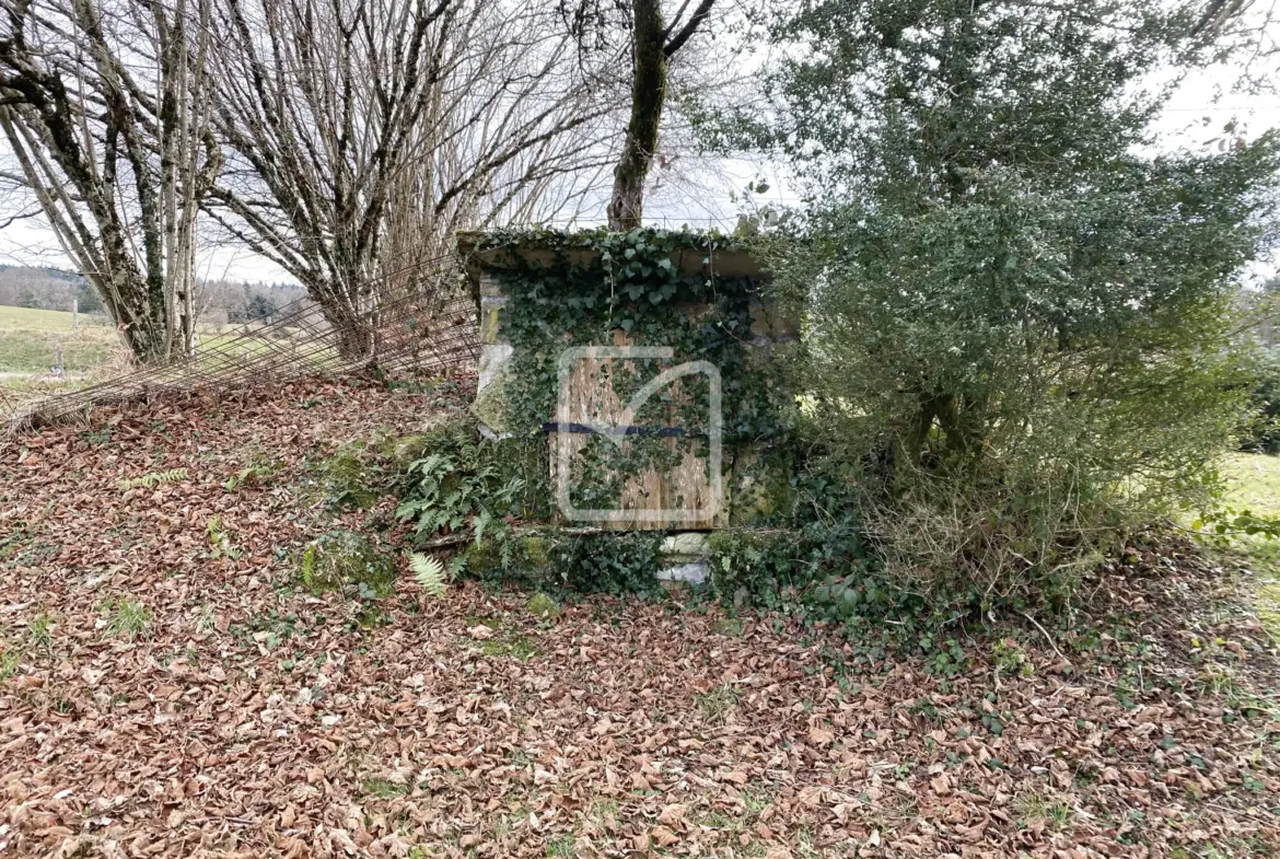 À vendre : bel ensemble en pierre dans un écrin de verdure à Sousceyrac 