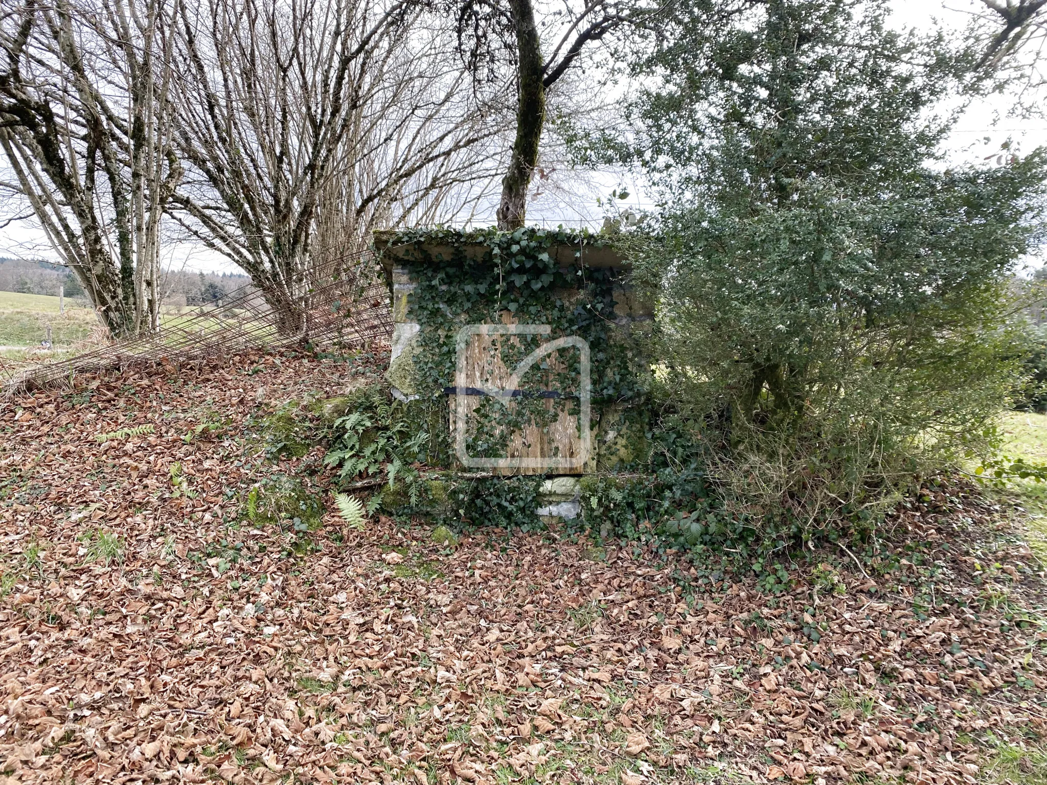 À vendre : bel ensemble en pierre dans un écrin de verdure à Sousceyrac 