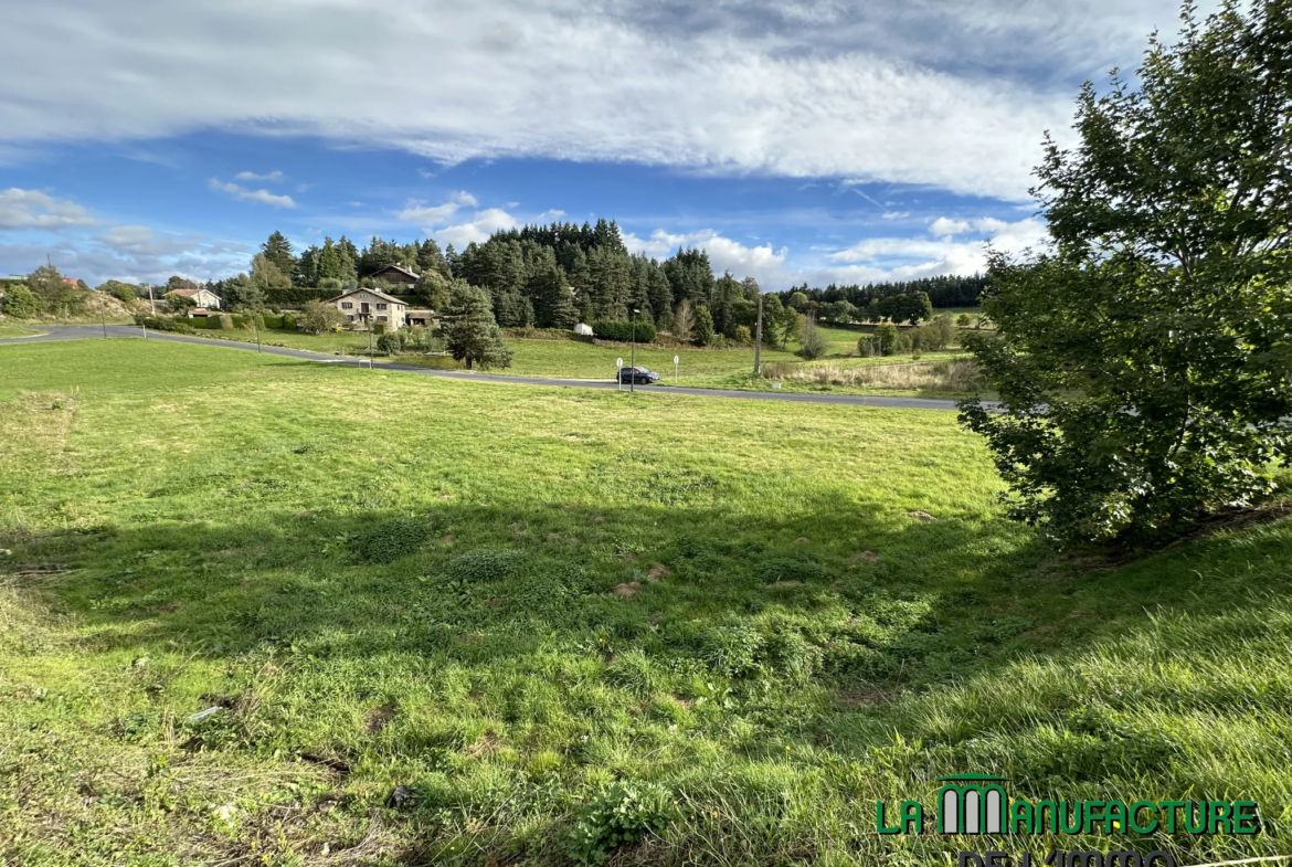 Terrain constructible de 1574 m² à Montfaucon-en-Velay 