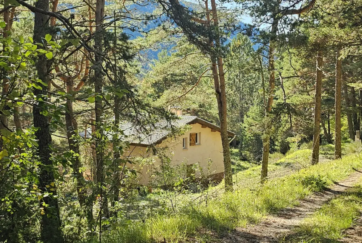 Maison de montagne exposée sud à Caille avec grand terrain 