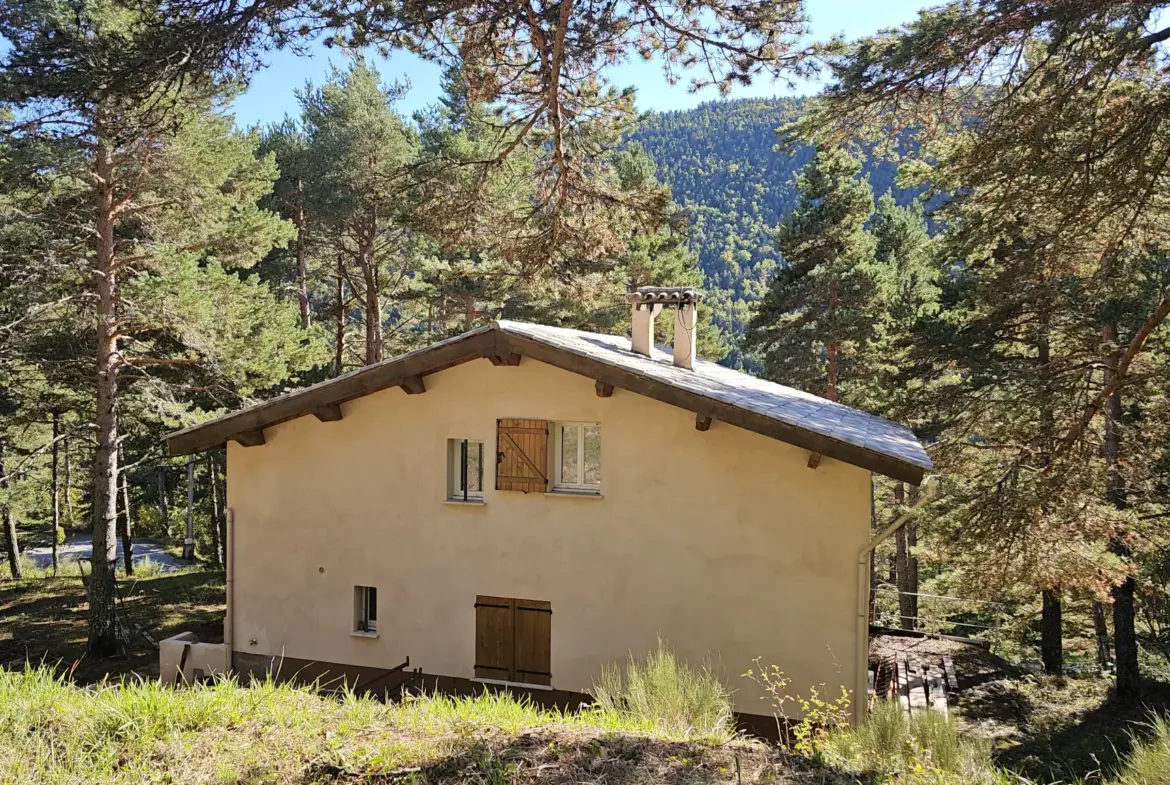 Maison de montagne exposée sud à Caille avec grand terrain 