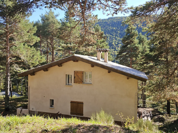 Maison de montagne exposée sud à Caille avec grand terrain