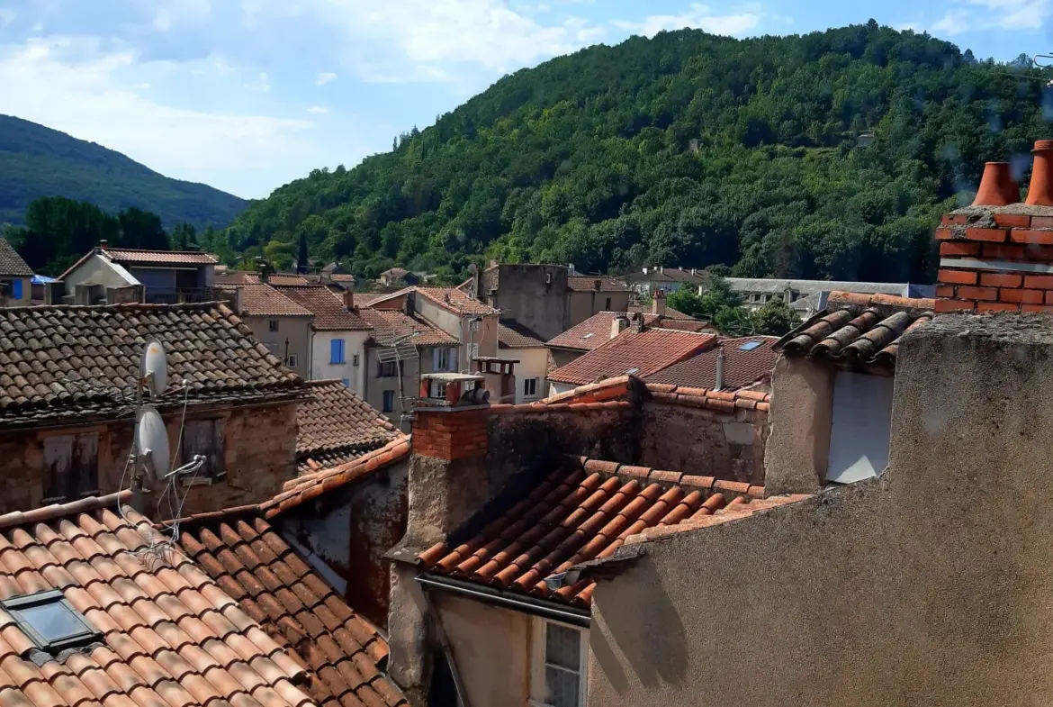 Maison de maître historique à Saint-Affrique 