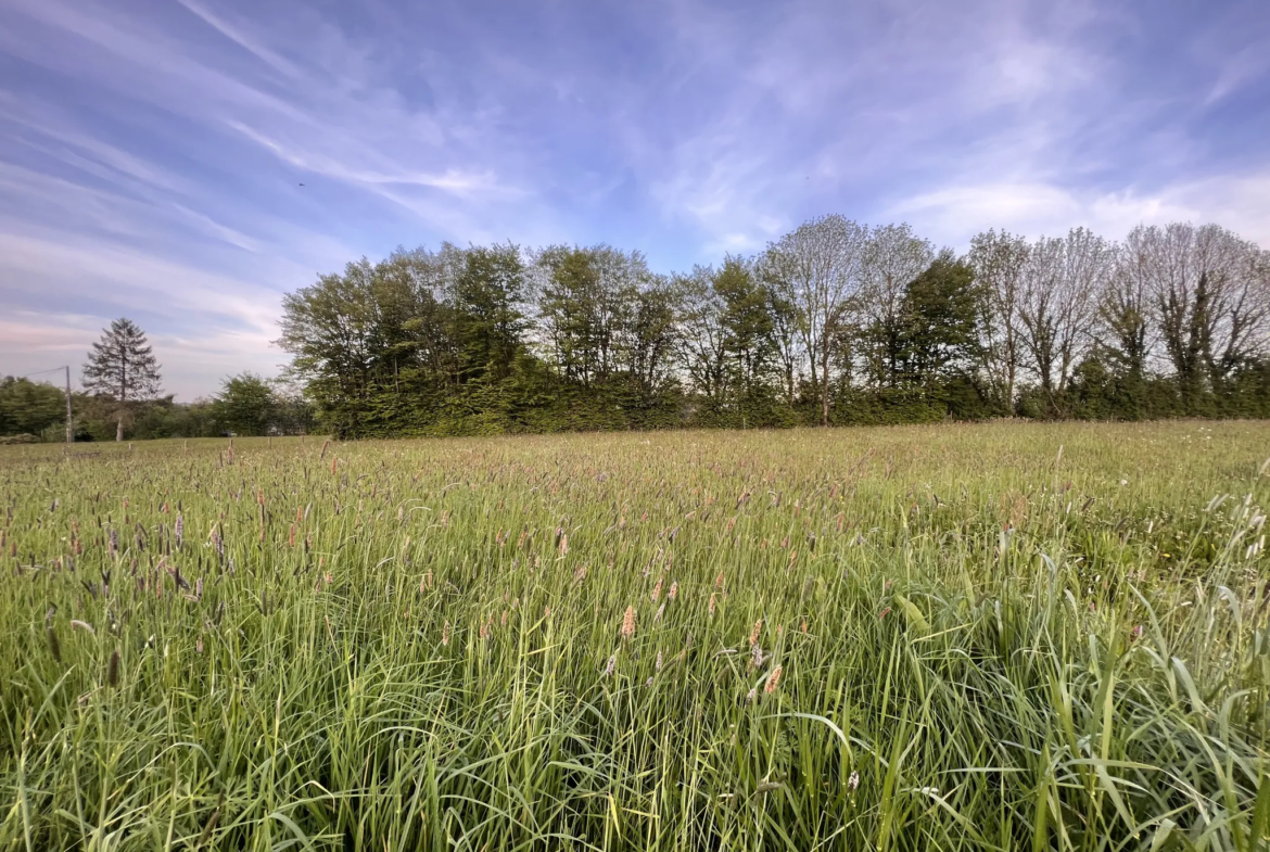 Terrain viabilisé à Le Tourneur, 884 m² à vendre 